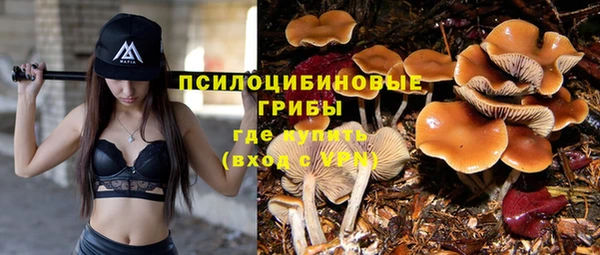 каннабис Лабытнанги