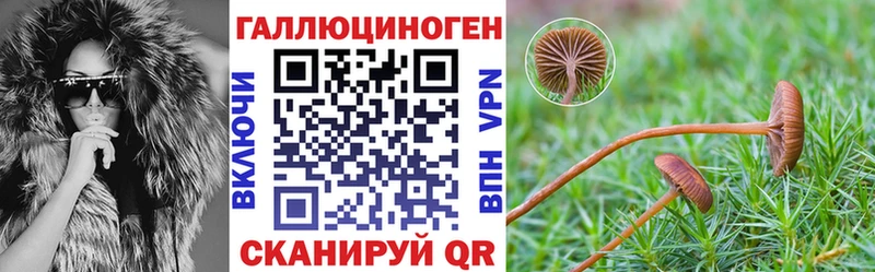Псилоцибиновые грибы Magic Shrooms  где найти   Щёлкино 